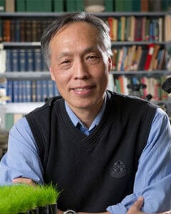 Tom Hsiang