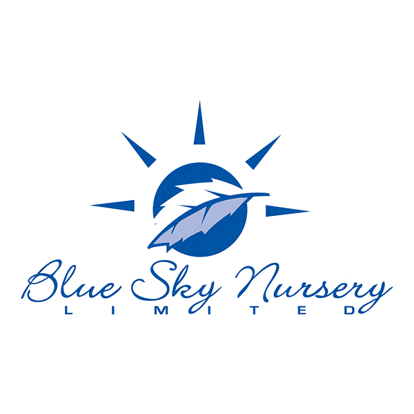 Blue-Sky-Nursery