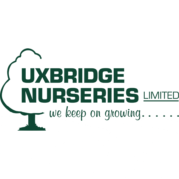 Uxbridge-nurseries