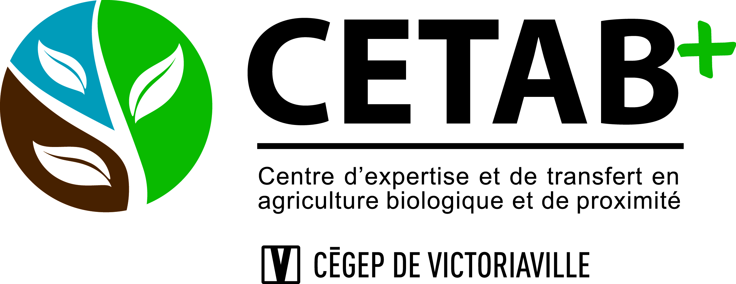 Logo CETA +
