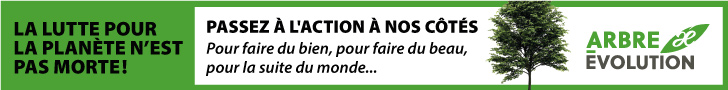 Banniere Arbre evolution