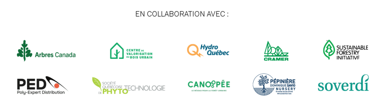 1.ZoneArbreCollaboration_logos